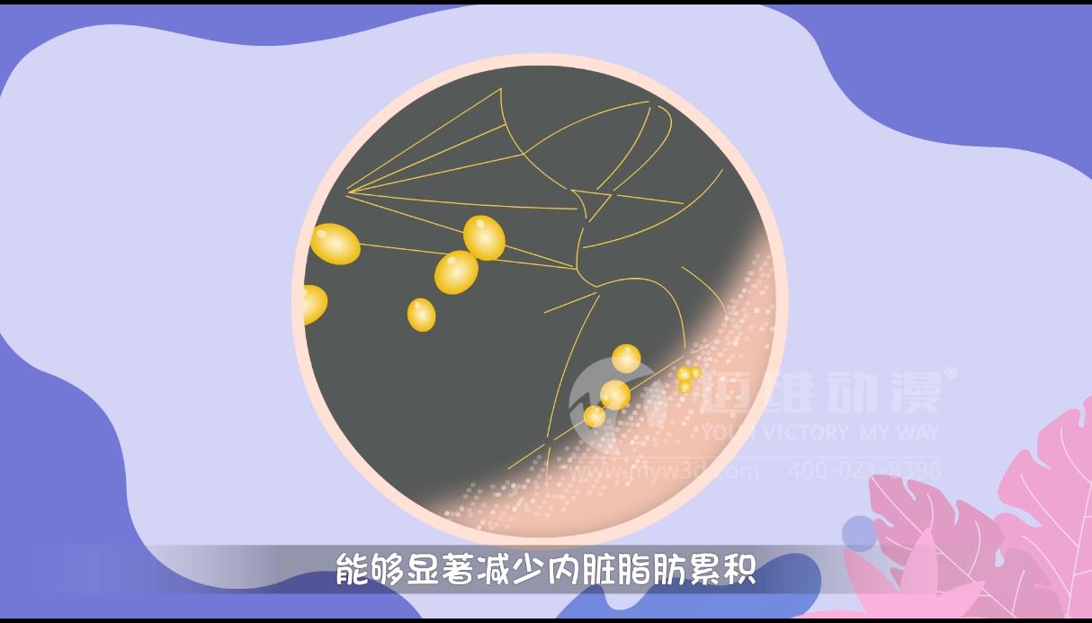 MG動畫，邁維動漫.jpg