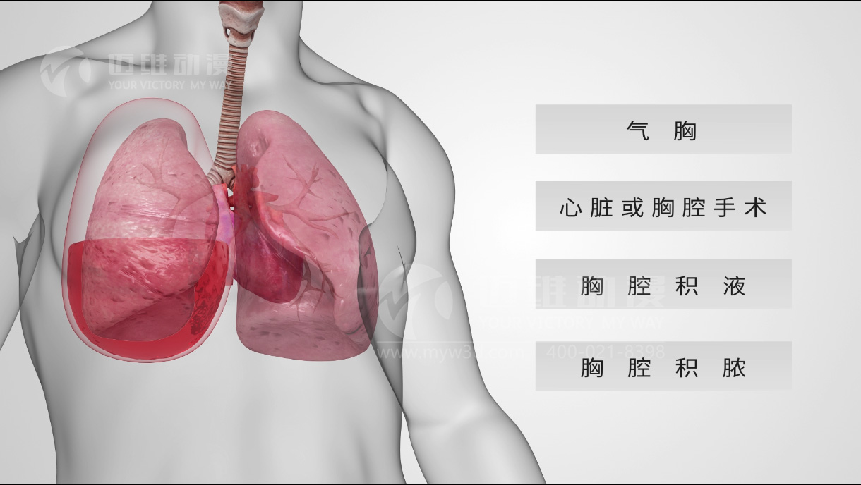 三維動(dòng)畫制作，三維動(dòng)畫演示.jpg
