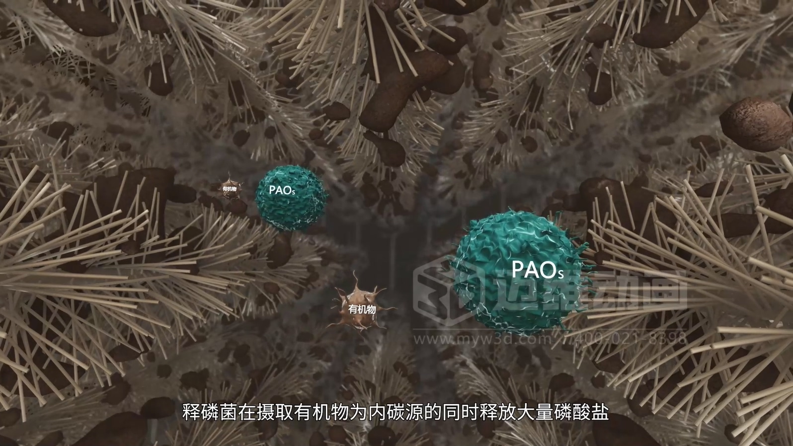 驚爆！三維動畫全方位展示鄉(xiāng)鎮(zhèn)污水一體化處理工藝，環(huán)保企業(yè)機(jī)遇來襲(圖4)